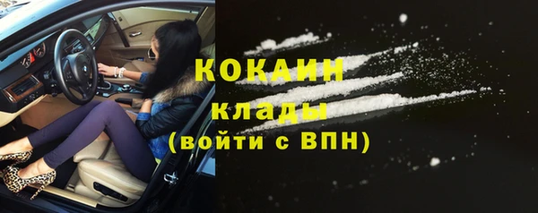 хмурый Лагань