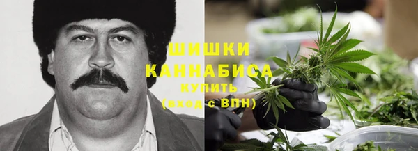 хмурый Лагань