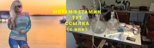 трава Ельня