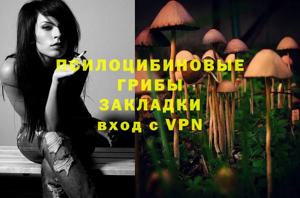 дурь Лабытнанги