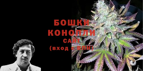дурь Лабытнанги