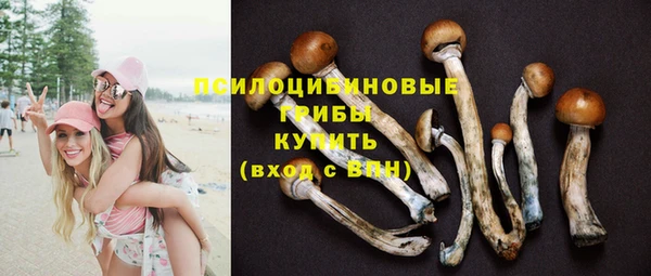 дурь Лабытнанги