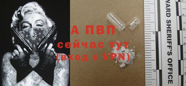 хмурый Лагань