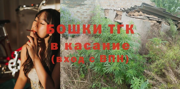 индика Всеволожск